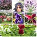 Flora Downing - Facebook