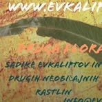 Druga Flora - Facebook