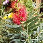 Dudley Floral - @dudleyfloral - Instagram