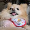 1260294767 - @flora.eddy - TikTok