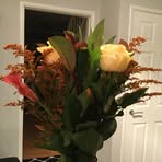 Flora Elisa - Facebook