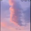 flora_elisa - @flora_elisa - TikTok