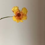EPSTEIN FLORALS - @epsteinflorals - Instagram