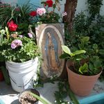 flora espino - @espinoflora7 - Instagram