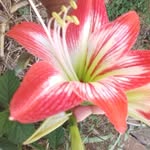 flora espino - @espino1639 - Instagram