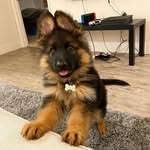 My name is Earl - @flora_ester2 - Instagram