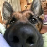 my name is flora - @flora_ester1 - Instagram