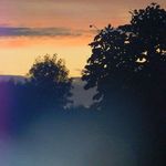 Photography - @flora.evans_photography - Instagram
