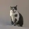 Flora Ferrante - @floraferrante1 - TikTok