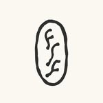 Field Studies Flora - @fieldstudiesflora - Instagram