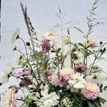 Fine Fund & Flora - @finefundogflora - Instagram