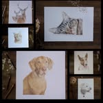 Flora & Fur | Fine artist - @flora.and.fur - Instagram