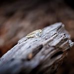 FLORA &amp; HIVE fine jewelry - Facebook