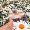 Fɪɴʟᴇʏ ᴀɴᴅ Kɪᴍ! <3 - @floralfinley - TikTok