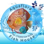 Aquaflora fish house - @aquaflorafishhouse - Instagram