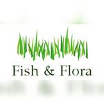 Fish & Flora - @fish.flora - Instagram