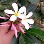 Flora & Fista - @flora_fishta - Instagram