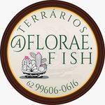 Flora e Fish - @florae.fish - Instagram