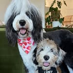 Flora & Floyd - @floraandfloyd - Instagram