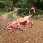 Flora And Floyd - @_flora.floyd_ - Instagram
