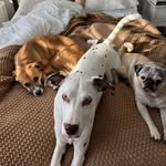 @flora_fosters - Instagram