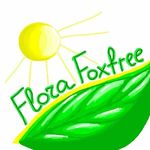 Цитаты Афоризмы Высказывания - @flora_foxfree - Instagram