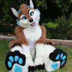 flora - @flora_fox_furry_ - Instagram