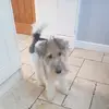 Flora - @florafox7 - TikTok