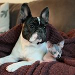 Flora & Franklin - @floraandfrankie - Instagram