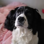Janet Flora Arabella Fraser Murray - @honestlyjanet - Instagram