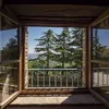 frelandflora - @frelandflora - TikTok