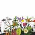 Society of the Flora, Fauna &amp; Friend - Facebook