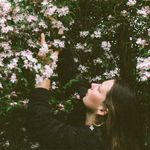 flora && funk via katie - @__slacktide__ - Instagram