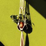 funk & flora - @funkandflora - Instagram