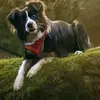 Flora Aganes - @floraaganes - TikTok