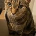 Flora Gaines - Facebook