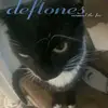 spitfireflora - @floraagallagher - TikTok