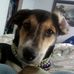 Flora Gamble Dunyon - Facebook