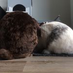 Flora & Gaston - @flora_gaston - Instagram
