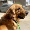 Mariana - @flora.guillen3 - TikTok