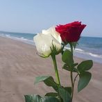 Flora Gutierrez - Facebook