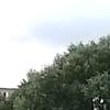 @flora💖 - @flora_guy - TikTok