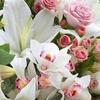 floraguy532 - @franceguy3 - TikTok