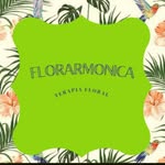 Eniana C Vieitas - @floraharmonica - Instagram