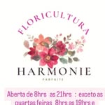 Mara Ribeiro - @flora_harmonieparfaite - Instagram