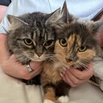 Harper & Flora - @harperandflora - Instagram