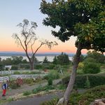 Flora Hill - @florahillfarm - Instagram