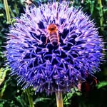 florahill - @florahill72 - Instagram
