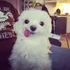 Flora ❣️ - @flora.hills1 - TikTok