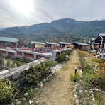 Flora Hills View - Facebook
